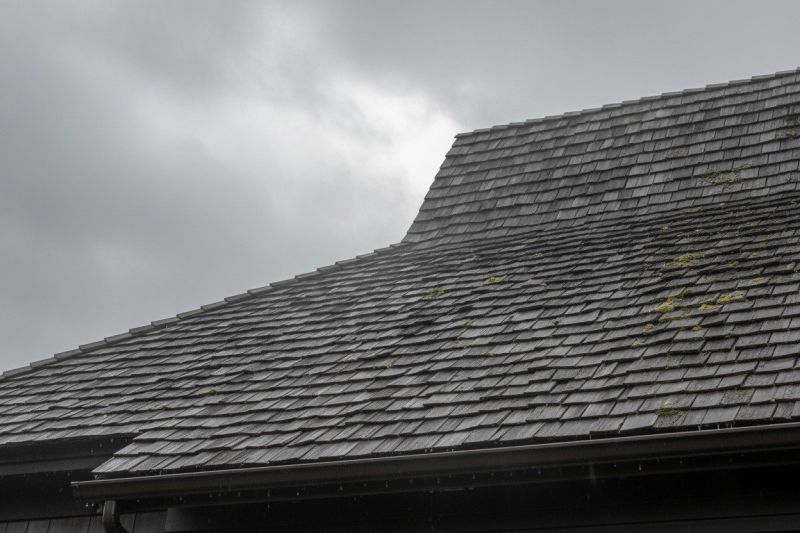 Wood Shingle Roof Replacement in Alexandria, VA